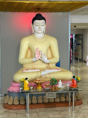 Picture: /imgresize/w288/images/blog-files/773/img-9224.jpg