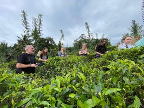 Picture: /imgresize/w288/images/blog-files/775/7fd17172-eeba-48ba-b2da-ee00d74b00fc.jpeg