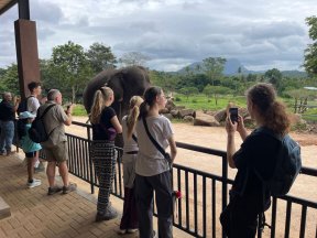 Picture: /imgresize/w288/images/blog-files/777/img-9422.jpg