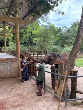 Picture: /imgresize/w288/images/blog-files/777/img-9426.jpg