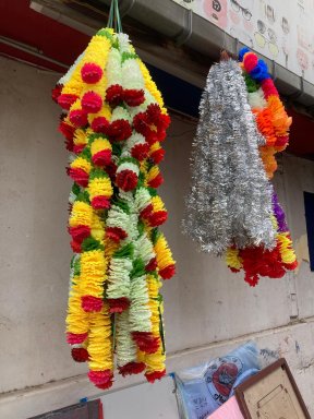 Picture: /imgresize/w288/images/blog-files/781/img-9486.jpg