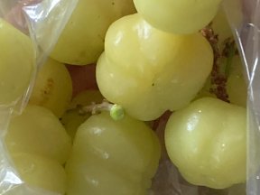 Picture: /imgresize/w288/images/blog-files/781/img-9488.jpg