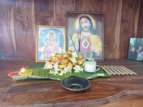 Picture: /imgresize/w288/images/blog-files/819/office-boiled-milk--3.jpg