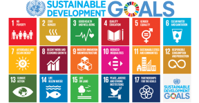 Sustainable Development Goal