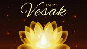 Vesak Festivals