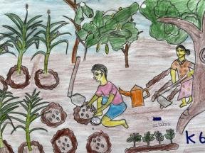 Drawing of Vegetables