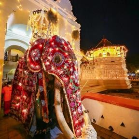 Parade in Sri Lanka
