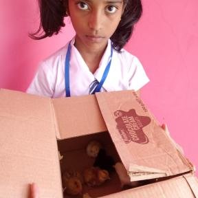 Donations in Sri Lanka