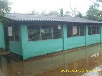 Ocean Stars nursery flooded