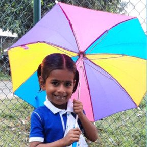 umbrella
